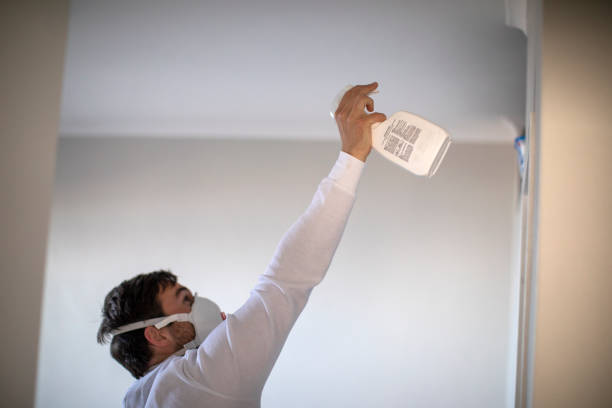 Best Certified Mold Removal  in Prince Frederick, MD